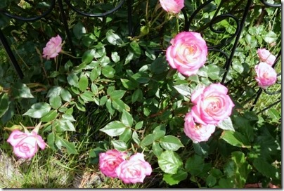2015-06-18-20-43-052