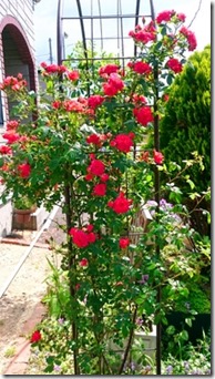 2015-06-18-20-46-21_deco