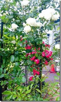 2015-06-25-20-59-50_deco