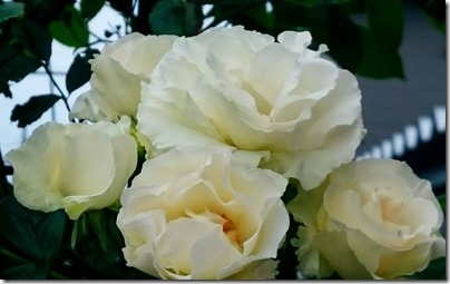 2015-06-25-21-01-40_deco