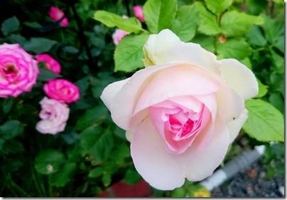 2015-06-25-21-03-41_deco