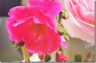 2015-06-30-12-56-50_deco