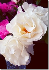 2015-06-30-13-00-31_deco