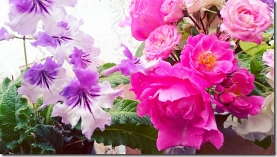 2015-06-30-13-02-58_deco