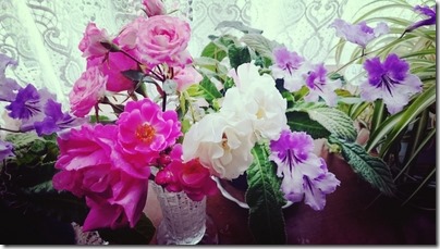 2015-06-30-13-03-22_deco