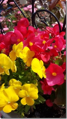IMG_20150626_090502