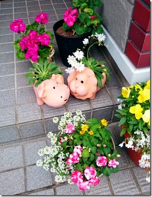 2015-07-02-12-13-41_deco