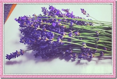 2015-07-07-13-09-38_deco