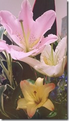 2015-07-07-13-19-35_deco