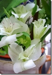 2015-07-07-13-20-21_deco