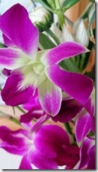 2015-08-25-12-26-17_deco