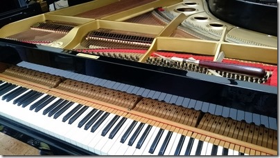 2015-08-25-12-43-56_deco