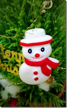 15-12-06-18-09-08-378_deco