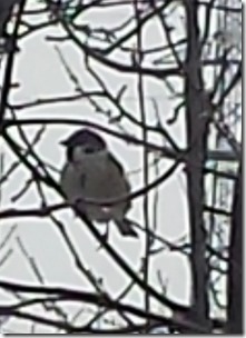 20160214_131537-002