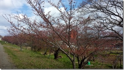 20160430_100003