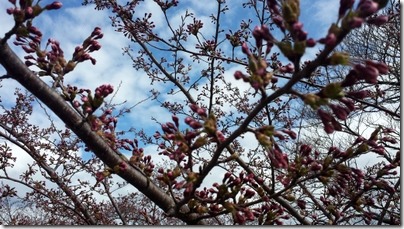 20160430_100016