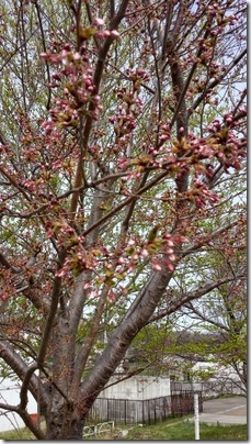 20160502_085016