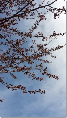 20160502_085105