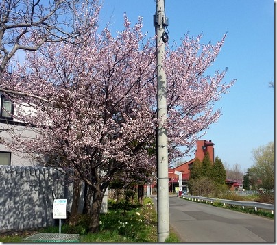 20160503_083059