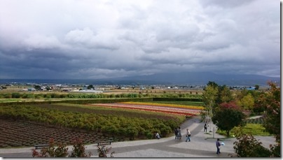 DSC_0201