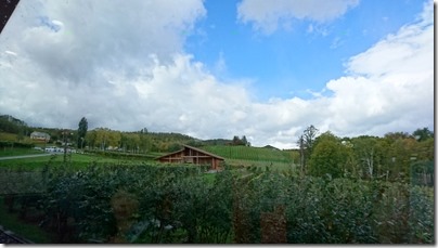 DSC_0214