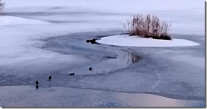 M_20170318111324_264