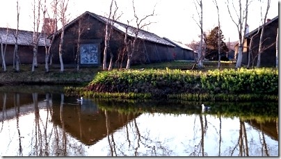 DSC_4202-001