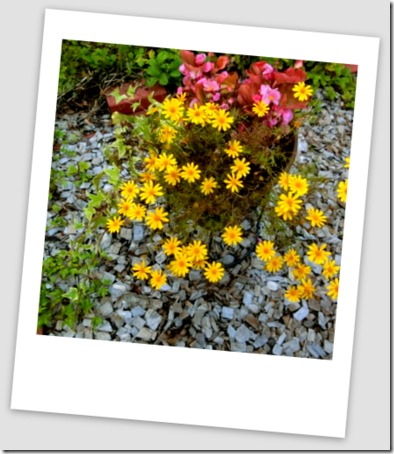 CIMG0333