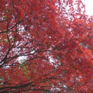 R0012258