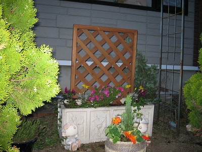 IMG_2445.jpg