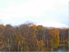 R0014594