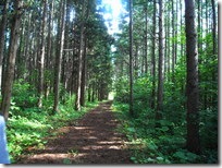 R0015781