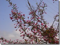 R0015665
