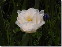 R0015668