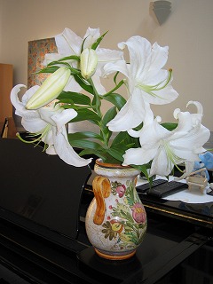 IMG_1053.jpg