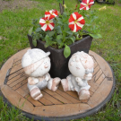 flower2