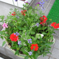 R0013155