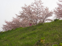 R0013162