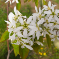 R0013197