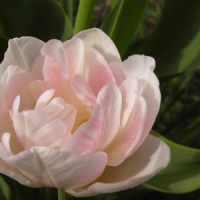 R0013211