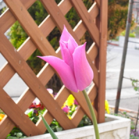 R0013212