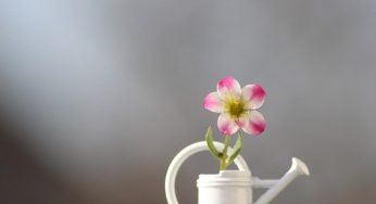 意気揚々と教室に来る生徒さんたち
