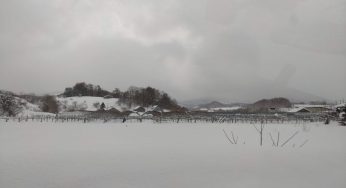 モノトーンな1月最後の日