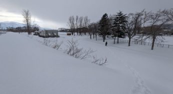 フィールドサイン / 雪の上に血の跡