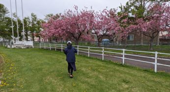 朝早くから行動すると頭が冴える / 閃くとき！