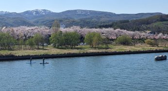 5月のはじまりの日 / 久しぶりに友人と会った