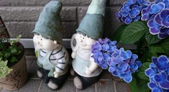 6月といえば紫陽花＆カエル / 消えた紫陽花