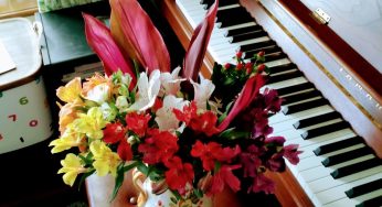 GW明けのレッスン / 舞い散る桜も美しい