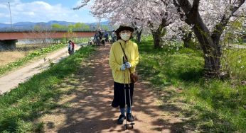 GW最終日 / 美しく儚げに桜が散っていた